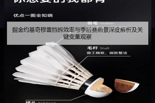 掘金约基奇穆雷挡拆效率与季后赛前景深度解析及关键变量观察（kaiyun）